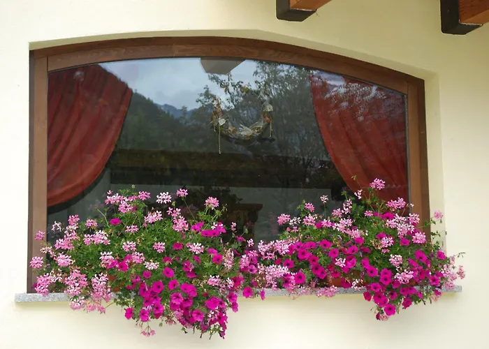 Les Nigritelles Cogne